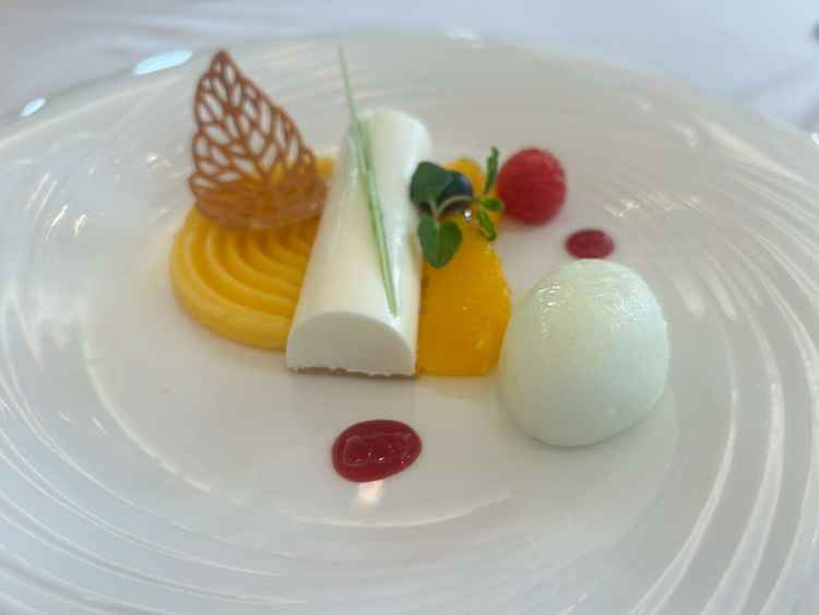 試食会のデザート。彩り豊かでとても華やか。ムースやシャーベットと食感が様々で食事を楽しめました。