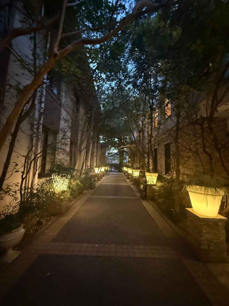 ガーデン部分。自然豊かなので、結婚式当日も写真は設備内でたくさん取れそう。