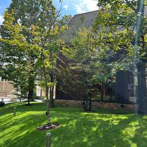 チャペルの周りの緑がとてもすてきでした。