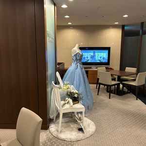 ウェディングドレスのモデル