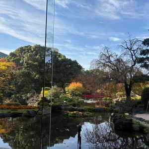 披露宴会場から見た日本庭園。窓ガラス一面に見える庭園の景色が素敵でした。