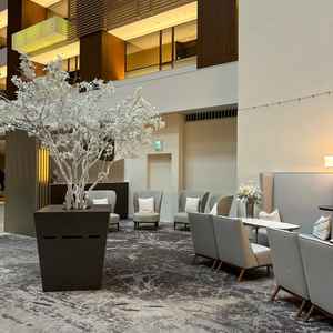 ゲスト用の待合。待ち時間は奥の椅子で音楽の生演奏が行われるようです。