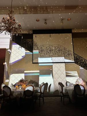 プロジェクションマッピングのクオリティがかなり高い。背景と連動しており演出の自由度が高そう。