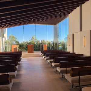 自然光がとても鮮やかな雰囲気をさらけ出してくれる。