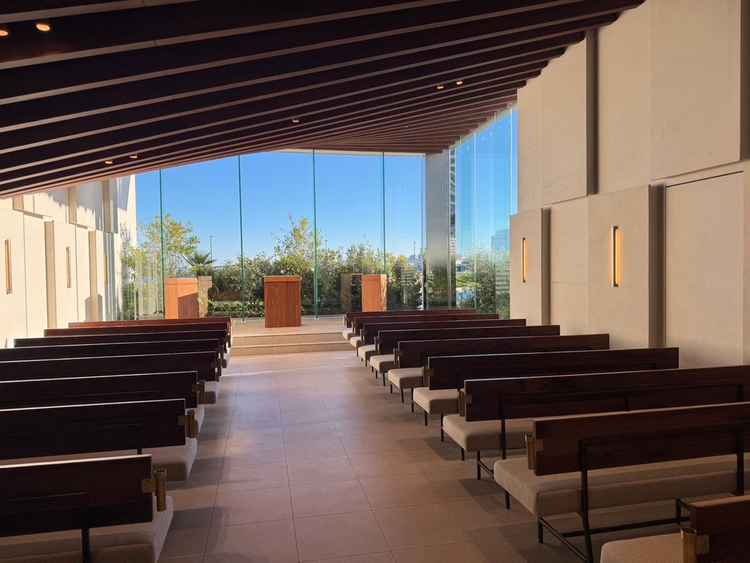 自然光がとても鮮やかな雰囲気をさらけ出してくれる。