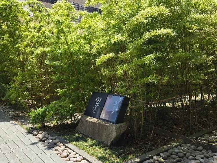 初夏の竹林が素敵でした。ここでお試しで和傘を持って写真も撮ってくれました。