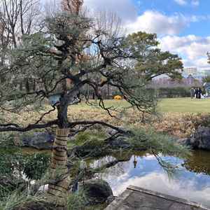 ユーザーが投稿した画像4