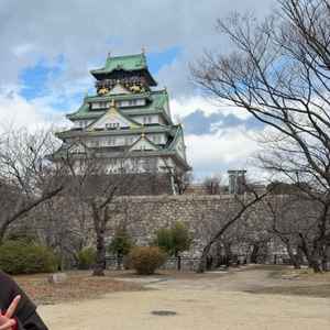 ユーザーが投稿した画像1をもっと見る