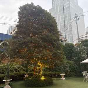 プールの反対側にあるガーデンです。ライトアップが素敵でした。