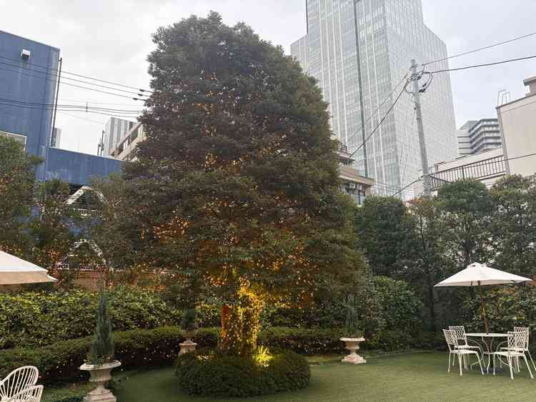 プールの反対側にあるガーデンです。ライトアップが素敵でした。