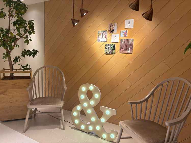 会場に入る前の装飾スペースも自由に飾り付けできる自由度がよかった。館内どこも綺麗だった。