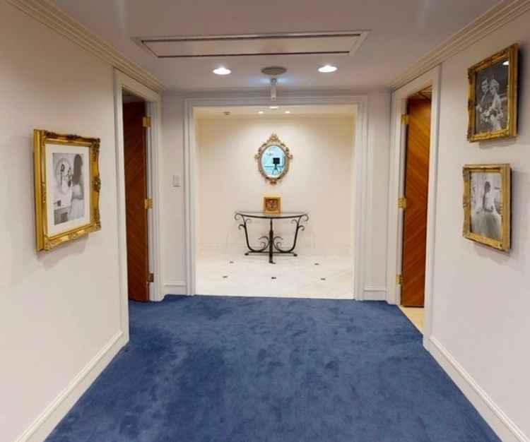 中の雰囲気も素敵で、床のカーペットが青色だったのが好印象