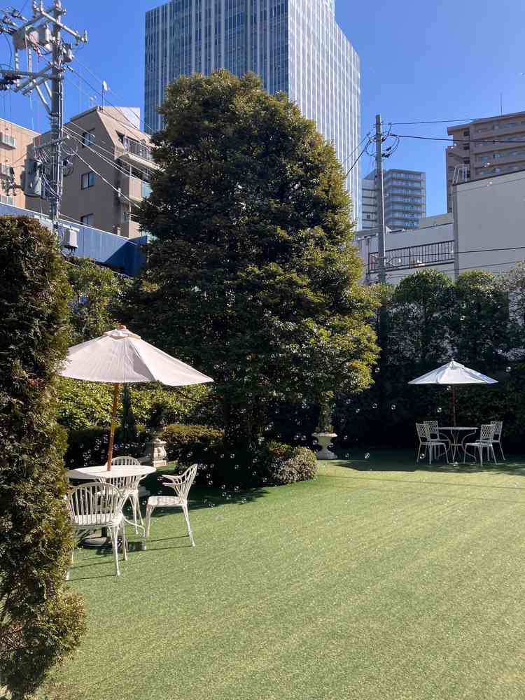 大きなシンボルツリーが印象的なガーデンです。当日はシャボン玉の演出がされておりとても綺麗でした。