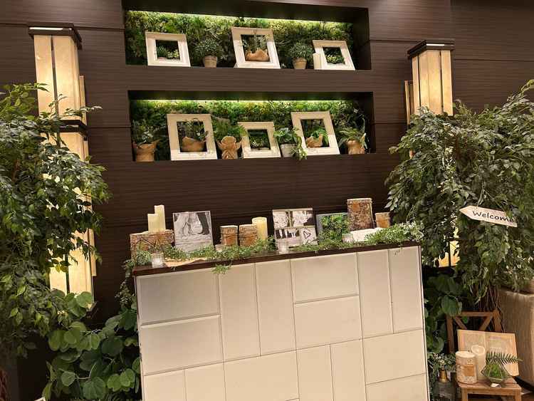 エントランスのコーディネートが十分整っていました。