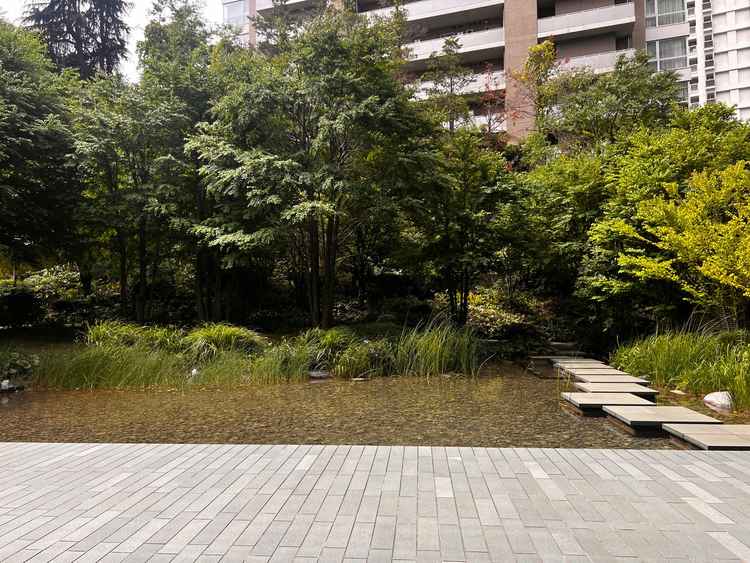 庭園や池があり、開放感と静けさを感じることができました。