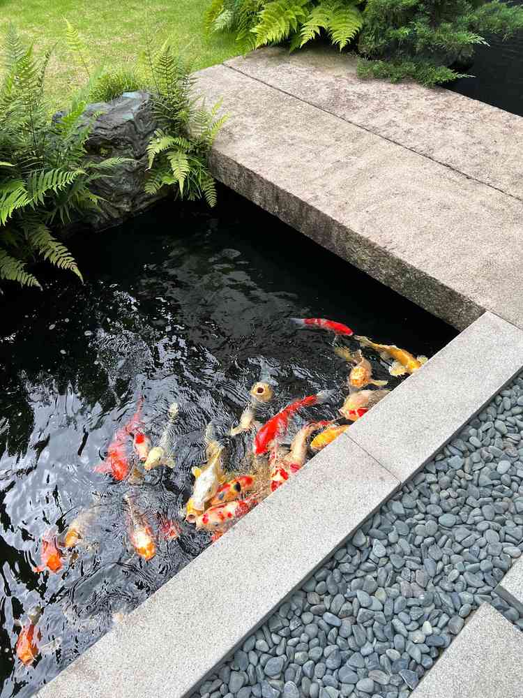 ユーザーが投稿した画像2