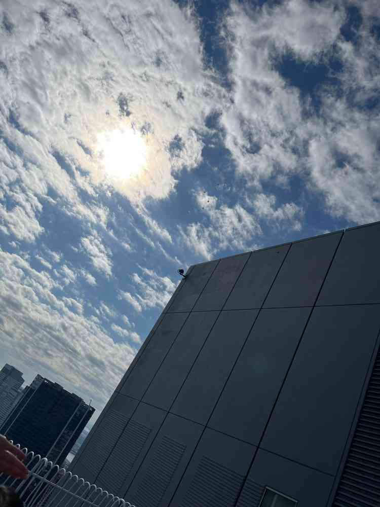 テラスからの景色