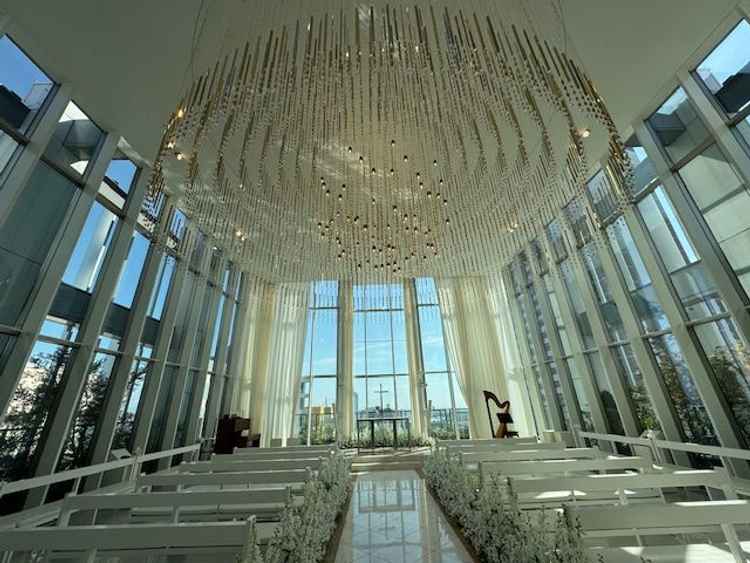 1122本のシャングリアが豪華であった。