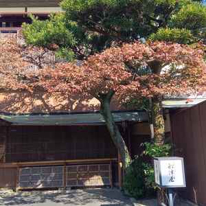 式場外観。歴史と風格を感じる佇まいです。紅葉も綺麗でした。