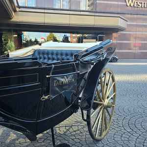 有名な馬車の演出。雨天でも、屋根をつけて走行が可能とのことでした。