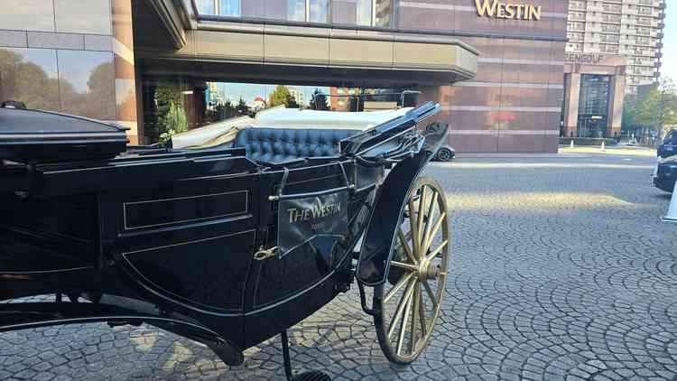 有名な馬車の演出。雨天でも、屋根をつけて走行が可能とのことでした。