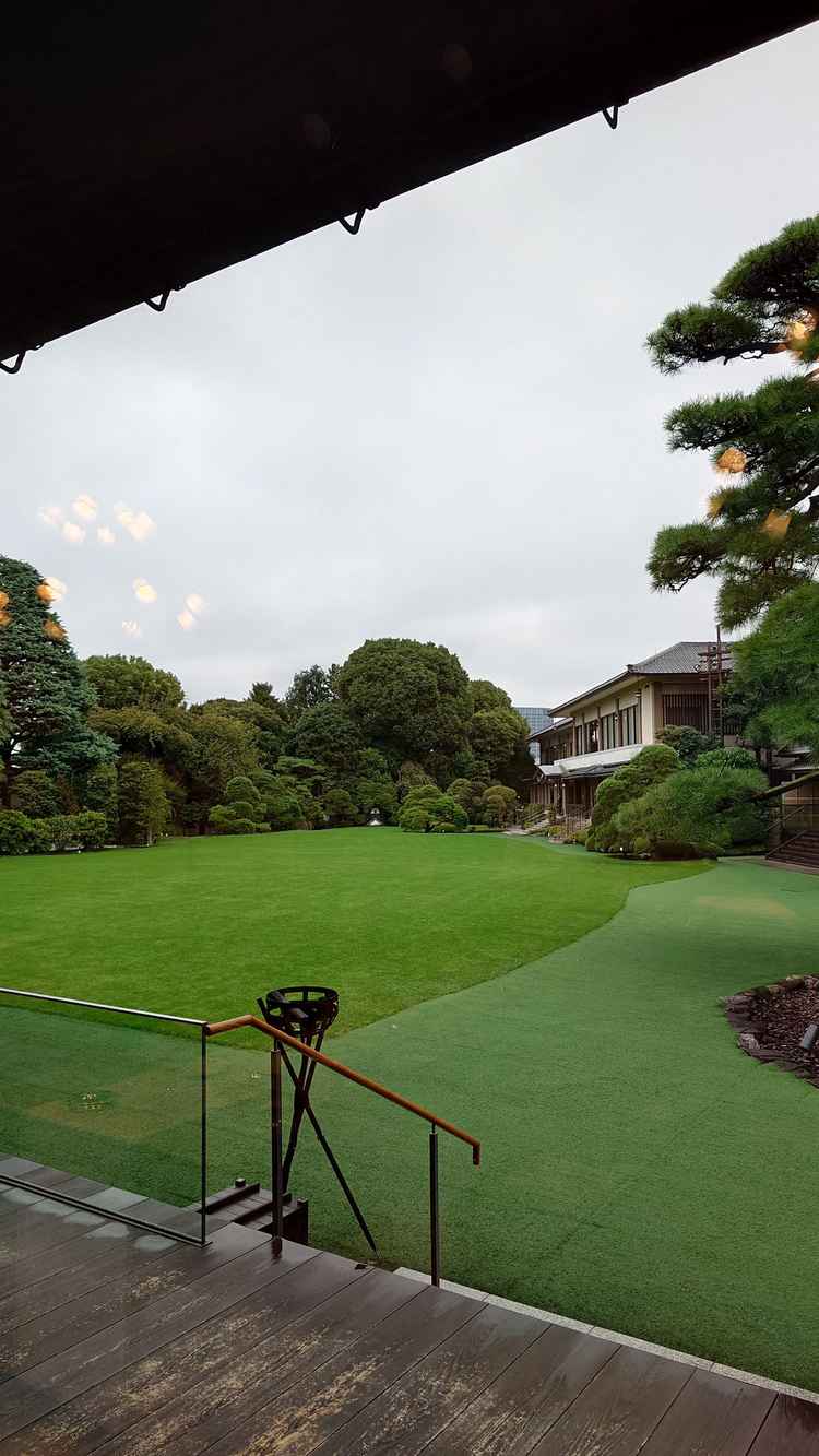 金鶏から望む庭