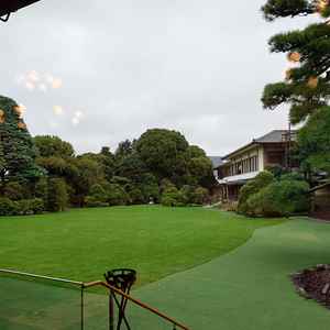 金鶏から望む庭