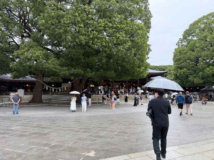 雨の中での神宮見学