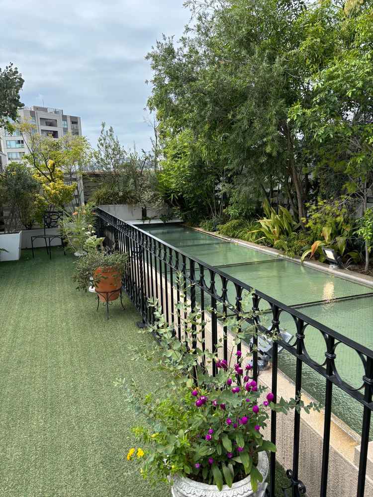 屋上。ここでブーケトスやフラワーシャワーができる。ビルなどは木や草で隠れているのが良い。