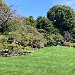 式場中央には大きな庭があり、年間通して自然の芝が生えているのでグリーンがとてもきれい。