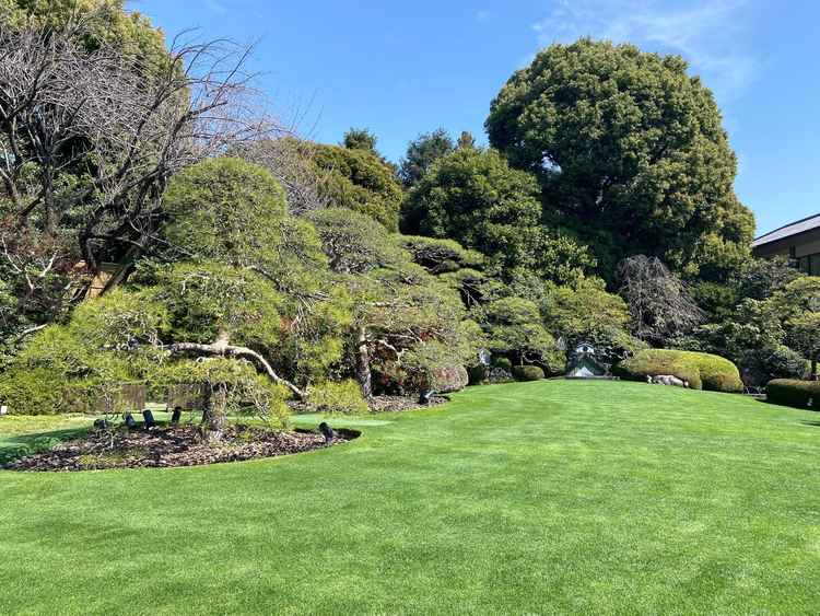 式場中央には大きな庭があり、年間通して自然の芝が生えているのでグリーンがとてもきれい。