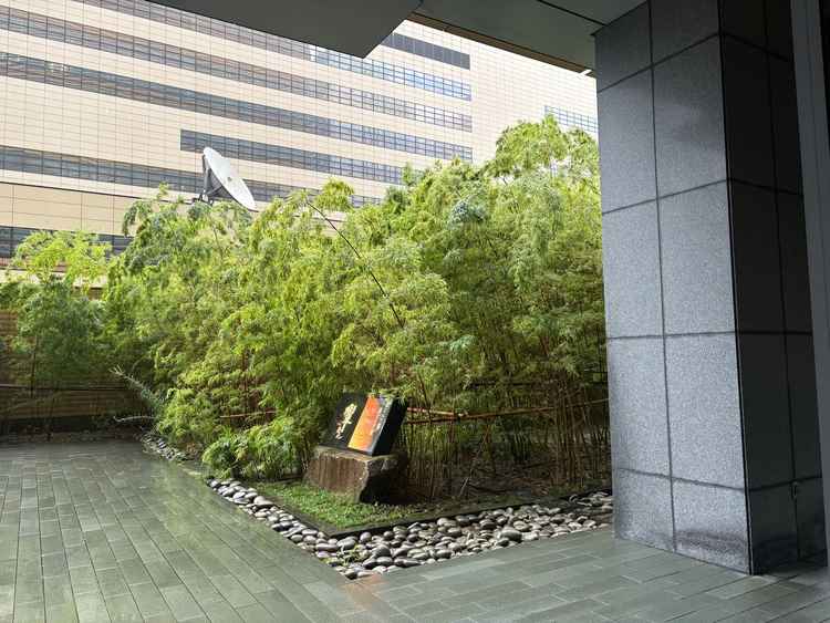 会場横にある竹林で自然を感じられる。冬でも青々としているそう。