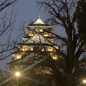 ユーザーが投稿した画像5をもっと見る
