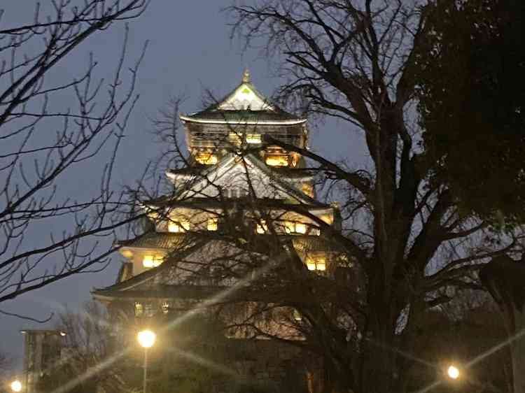ユーザーが投稿した画像5