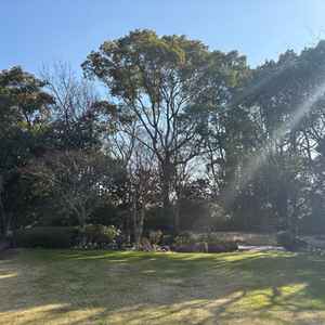 天然芝のガーデン。奥には川が流れています。見学は冬場でしたが夏場はもっと青々とします。小鳥の声も。