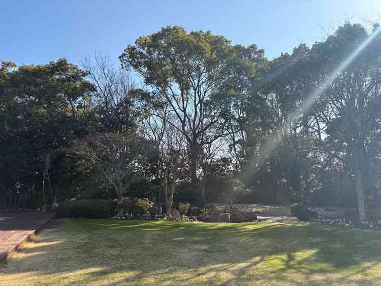 天然芝のガーデン。奥には川が流れています。見学は冬場でしたが夏場はもっと青々とします。小鳥の声も。