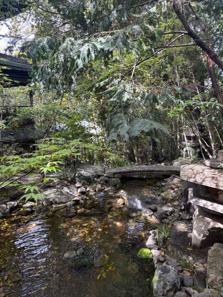 どこを切り取っても京都らしさがあって、敷地内はどこでも素敵な写真が撮れそうでした。