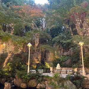 披露宴会場から臨んだお庭