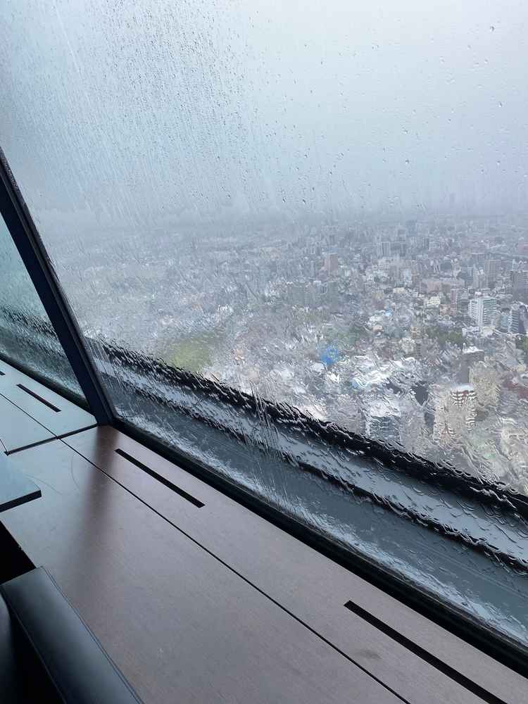 雨天でもウォーターカーテンが見られ、幻想的な雰囲気。晴れでも雨でもその時々の良さがある。