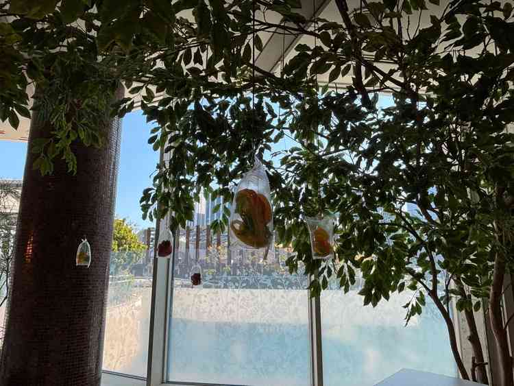 ユーザーが投稿した画像5