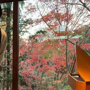 四季が感じられる景色。秋は紅葉が綺麗でした。