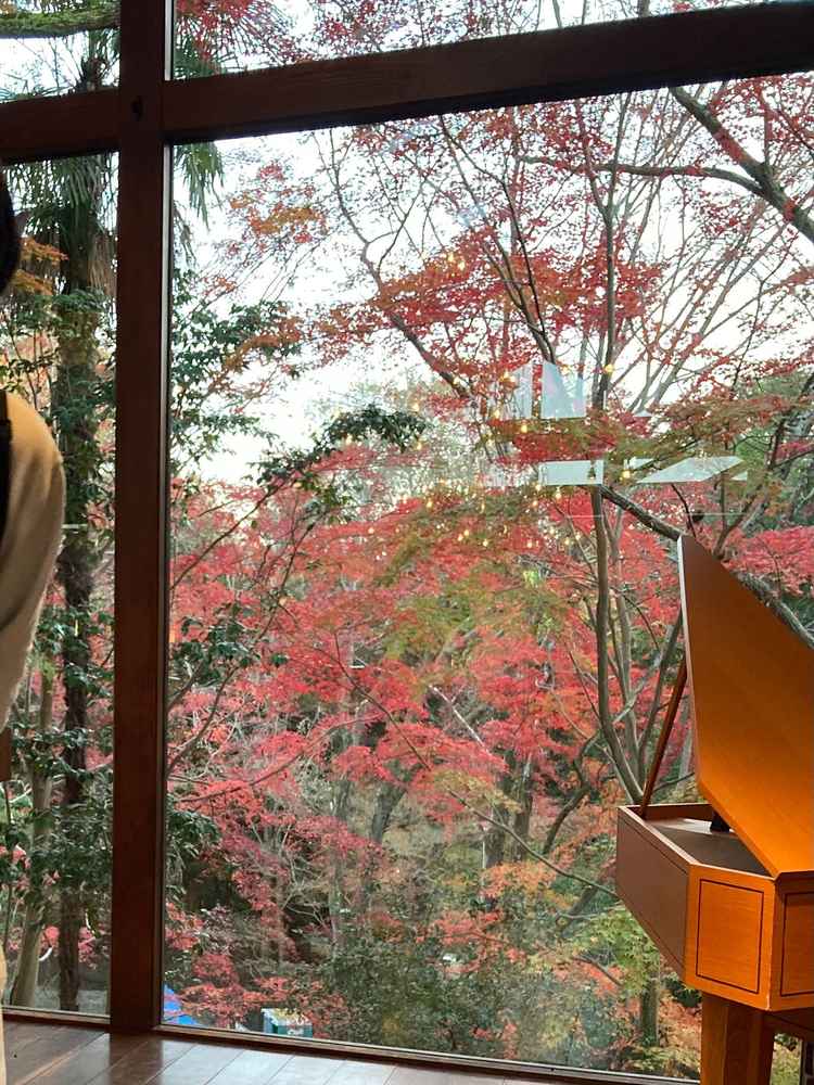 四季が感じられる景色。秋は紅葉が綺麗でした。