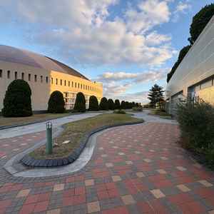 オリーブの外はPayPayドームを隣にみえて、広さも十分にあるガーデンでした