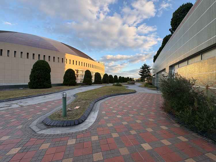 オリーブの外はPayPayドームを隣にみえて、広さも十分にあるガーデンでした