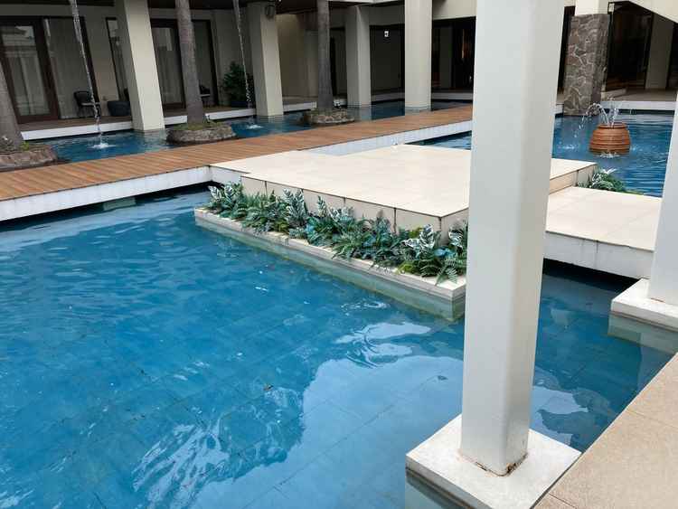 写真映えしそうな水のある場所