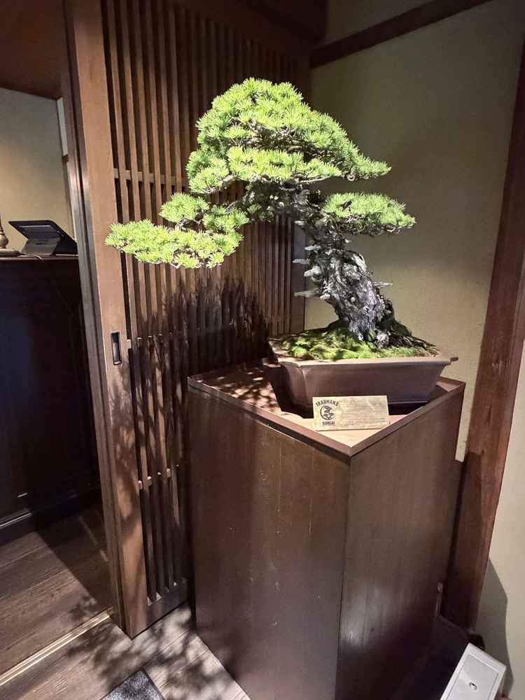 式場入口にある盆栽。「生と死」というテーマが込められているそうで、季節ごとで変わるそうです