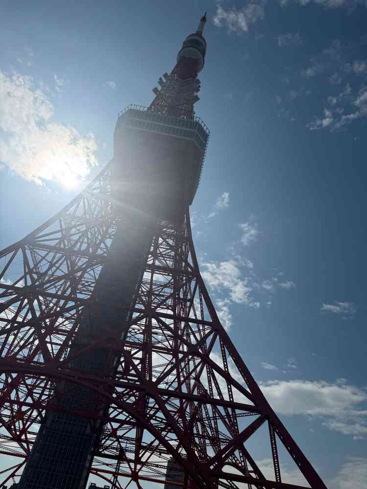 ユーザーが投稿した画像5