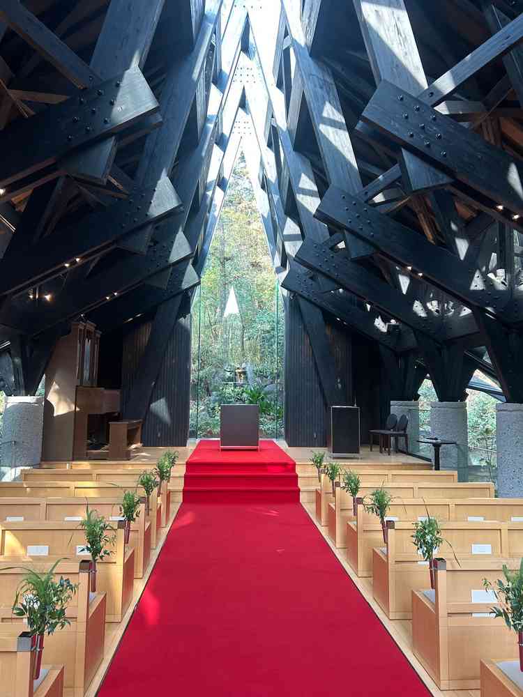 春以降はグリーンも素敵そうでした