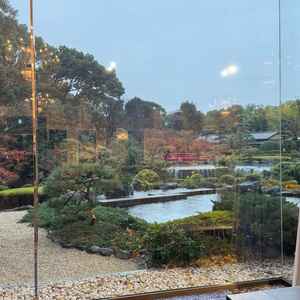 鳳凰の間から見える庭園です。天候に左右されない日本庭園が望めます。