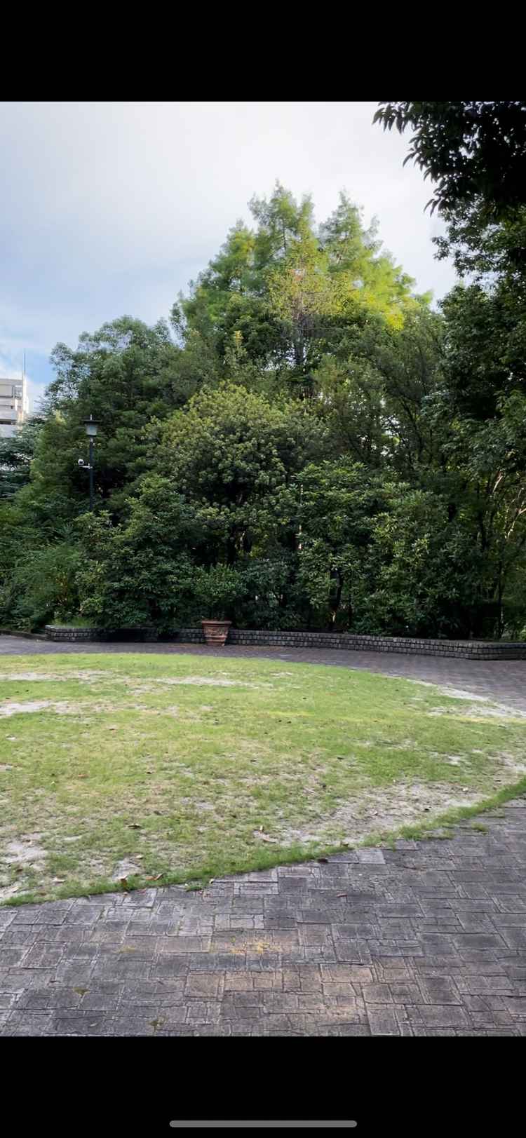 ガーデン挙式二つ目の場所。隠れスポットのようになっておりゆったりとした雰囲気